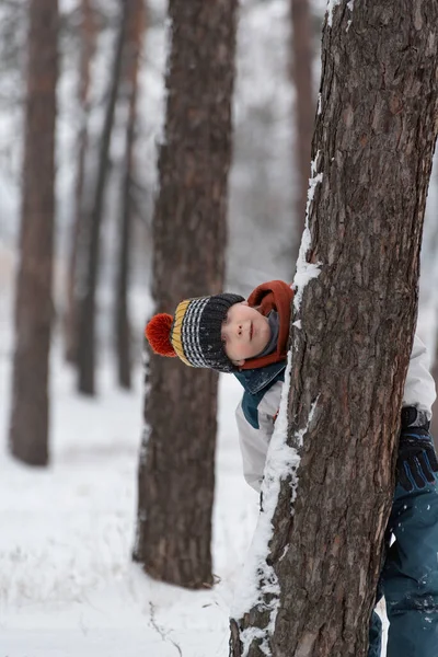 Αστείο Παιδί Κρύβεται Πίσω Από Δέντρο Στο Χειμερινό Δάσος Αγόρι — Φωτογραφία Αρχείου