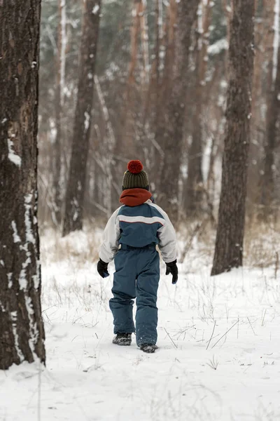 Achteraanzicht Jongen Winterkleding Wandelt Door Besneeuwd Bos Kind Winter Straat — Stockfoto