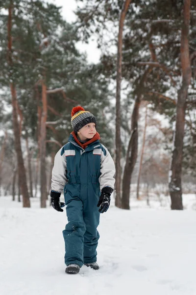 Αστείο Παιδί Στέκεται Χιονισμένο Δάσος Και Κοιτάζει Απόσταση Αγόρι Στέκεται — Φωτογραφία Αρχείου