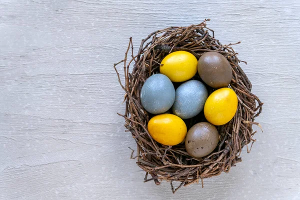 Las Aves Anidan Con Huevos Colores Una Superficie Concreto Claro —  Fotos de Stock