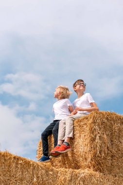 Mavi gökyüzü arka planında samanlıkta oturan iki beyaz çocuk. Yaz günü. Çiftlikte iki arkadaş. Dikey çerçeve.