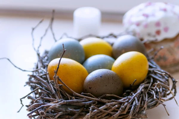 Composición Minimalista Pascua Con Huevos Multicolores Nido Aves Pastel Pascua —  Fotos de Stock