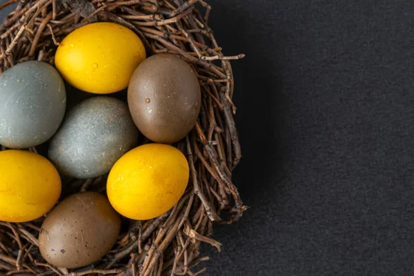 Los Coloridos Huevos Pascua Las Aves Anidan Mesa Negra Copiar —  Fotos de Stock