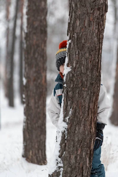 Child Hides Tree Winter Forest Boy Dressed Warm Hat Winter — Stock Photo, Image