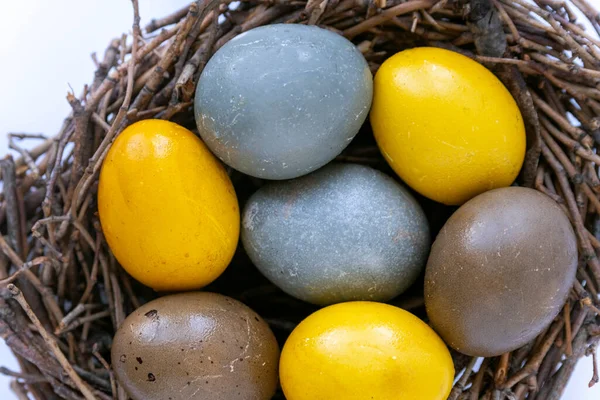 Cierre Nido Aves Con Coloridos Huevos Pascua Feliz Concepto Pascua — Foto de Stock