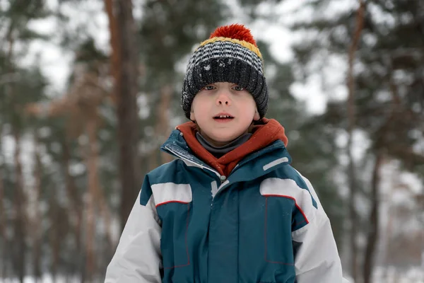 Portret Van Een Leuke Jongen Het Winterbos Bomen Achtergrond Kind — Stockfoto