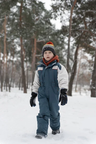 Αστείο Παιδί Στέκεται Στο Χιονισμένο Δάσος Και Κοιτάζει Την Κάμερα — Φωτογραφία Αρχείου