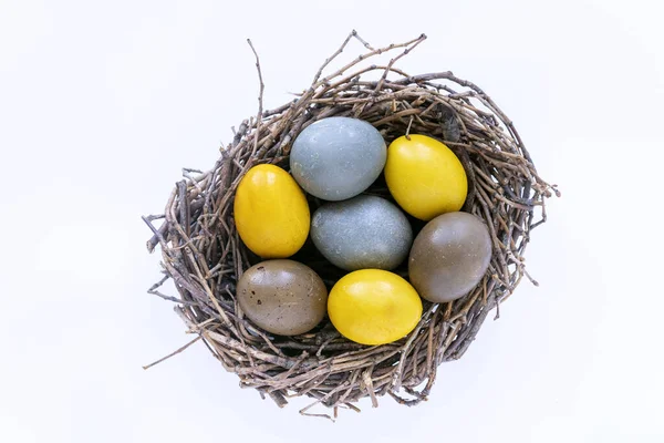 Nido Aves Con Coloridos Huevos Pascua Aislados Blanco Feliz Concepto —  Fotos de Stock