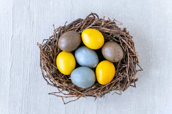 Ptasie Gniazdo Kolorowymi Żółtymi Brązowymi Jajkami Wielkanocnymi Izolowanymi Jasnej Betonowej — Zdjęcie stockowe