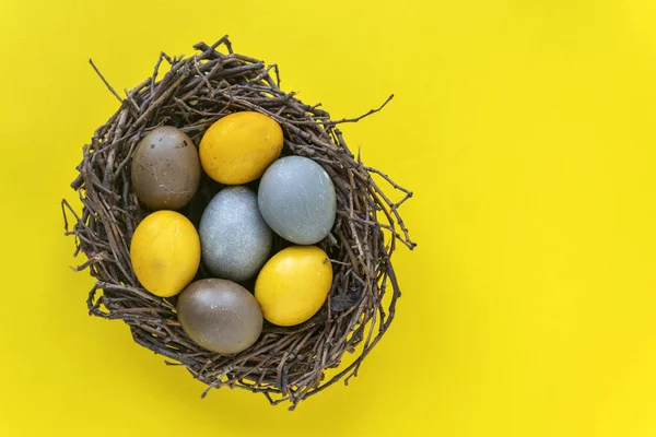 Los Huevos Pascua Color Amarillo Azulado Marrón Las Aves Anidan —  Fotos de Stock