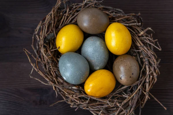 Cerrar Huevos Pascua Multicolores Aves Anidan Mesa Madera Feliz Concepto —  Fotos de Stock