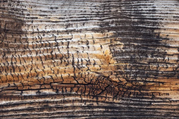 Fondo Textura Madera Vieja Paneles Madera Con Patrón Oscuro Madera — Foto de Stock