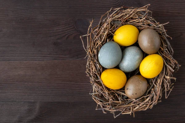 Huevos Pascua Multicolores Aves Anidan Mesa Madera Vista Superior Copiar —  Fotos de Stock