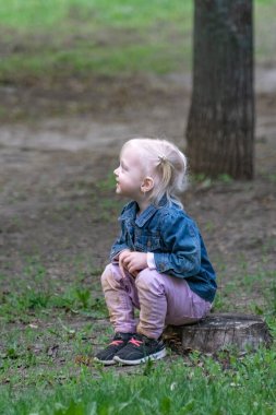 Küçük sarışın kız ormanda kütüğün üzerinde oturuyor. Parktaki güzel sarışın kızın portresi. Dikey çerçeve
