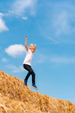 Samanlıkta zıplayan okul çocuğu. Çocuk koşar ve saman yığınına atlar, yaz tatili hasat eder, saman biçer..