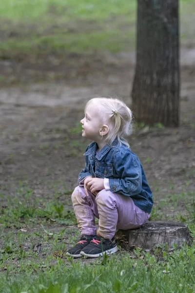 Little Blonde Girl Sits Stump Woods Portrait Cute Fair Haired — стоковое фото