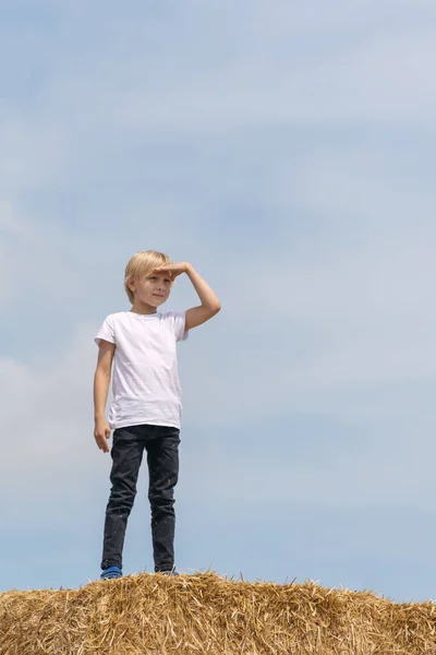 Blonďatý Sedmiletý Chlapec Stojí Hromadě Suchého Sena Přitiskne Ruku Očím — Stock fotografie