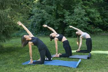 Group of young women is practicing yoga and raising hands above heads in park. Girls doing fitness outdoors