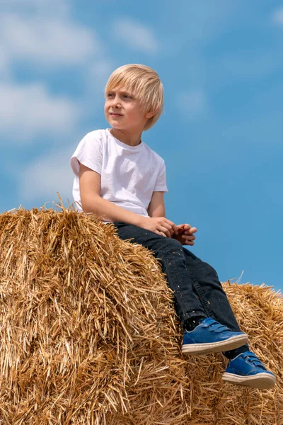 Little Nice Boy White Shirt Jeans Sits Haystack Summer Day — Fotografia de Stock