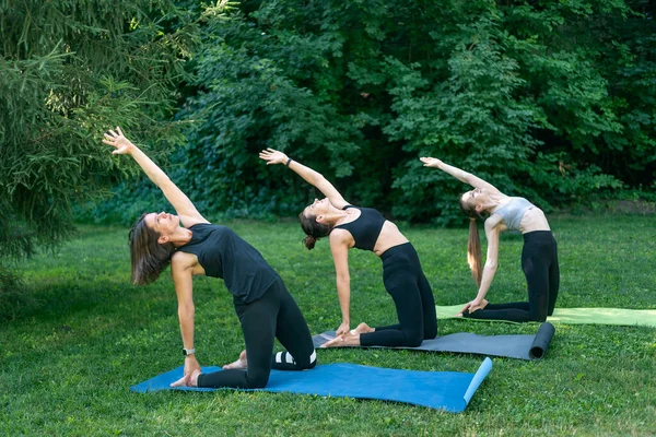 Bir grup genç kadın parkta yoga yapıyor ve el kaldırıyor. Kızlar dışarıda spor yapıyor.