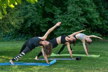 Group of young women practice yoga in the morning in the park. Girls do gymnastics outside