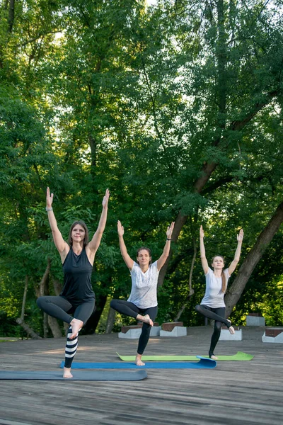 Parkta eğitmenle yoga dersi veren üç spor kadınından oluşan bir grup. Kızlar dışarıda yoga minderinde egzersiz yapıyor.