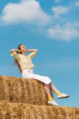 Güzel genç bir kadın samanlıkta oturuyor. Saman yığınlarıyla yaz tarlasında dinleniyor. Yaz tatili.