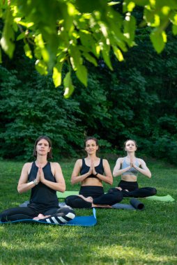 Bir grup kız sabah parkta meditasyon yapıyor. Sabah yoga antrenmanı dışarıda. Parktaki genç kadınlar yoga yapıyor.