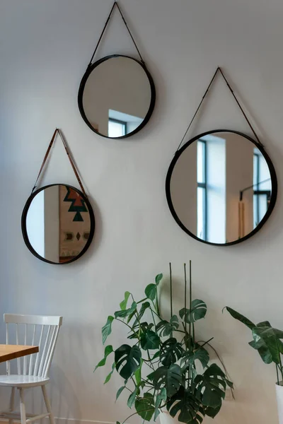 Round mirrors in the interior. Cozy modern style. Interior decoration. Green plant near wall. Cafe.