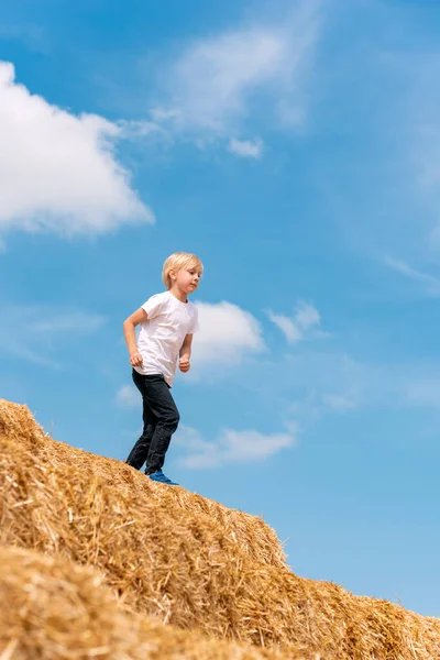 Öğrenci kuru samanla koşuyor. Köydeki sarışın çocuk mavi gökyüzüne karşı büyük samanlıkta