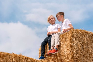 Sıcak bir yaz gününde, kır doğa çiftliğinde samanlıkta oturan iki beyaz çocuk. Boşluğu kopyala.