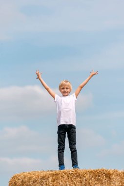 Mavi gökyüzü arka planında buğday tarlasında samanlıktaki şık sarışın çocuk portresi. Dikey çerçeve