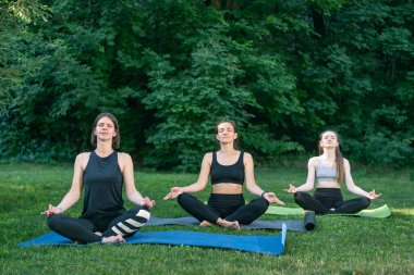 Parktaki üç genç kadın yoga minderlerinin üzerinde meditasyon yapıyorlar. Sabah yoga antrenmanı. Uyum ve denge