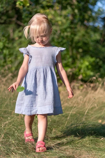 Portrait Complet Petite Fille Blonde Robe Bleue Avec Des Feuilles — Photo