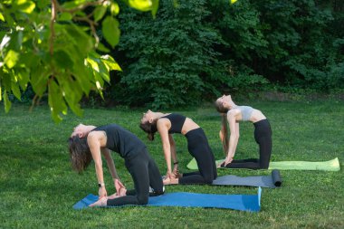 Yoga dersi veren bir grup kadın. Yaz parkında çayırda egzersiz yapıyorum.
