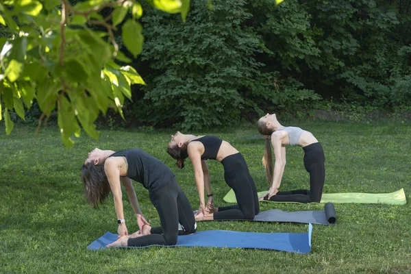 Group of women practicing yoga lesson. Workout in summer park doing exercise outdoor in meadow