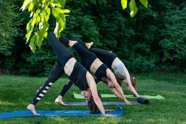 Group of young women practicing yoga dog face down. Adho Mukha Svanasana. Girls in sports clothing are doing fitness exercises