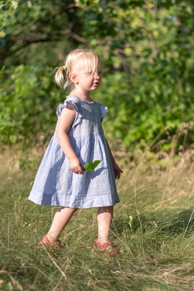 Полноразмерный Портрет Маленькой Блондинки Синем Платье Зеленым Листом Руках Парке — стоковое фото
