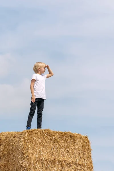 Ukrainian Boy Stands Haystack Blue Sky Background Child Leaned His — Photo