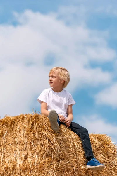 Portrait Little Cute Blond Boy Haystack Blue Sky Background Summer — Foto de Stock