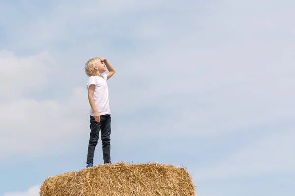 Blond Boy Stands Haystack Blue Sky Background Child Leaned His — Photo