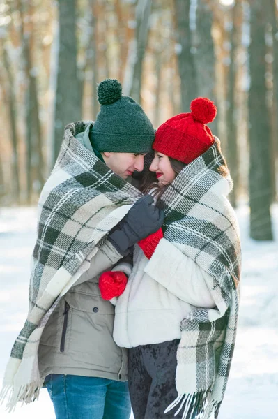 Young couple in love in snow-covered winter park covered themselves with warm blanket. Vertical frame.
