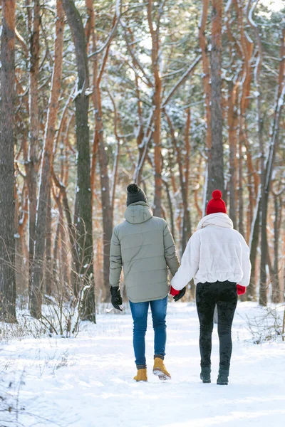 男孩和女孩牵着手 在雪地的公园里散步 后视镜垂直框架 — 图库照片