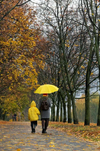 Mamá Hijo Impermeable Amarillo Están Caminando Por Callejón Del Parque — Foto de Stock