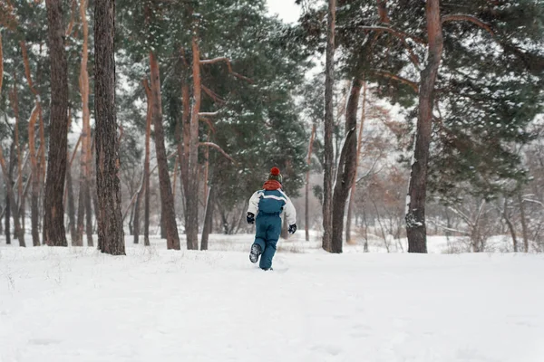 Παιδί Τρέχει Προς Μεγάλα Έλατα Χιονιού Αγόρι Παίζει Εξωτερικούς Χώρους — Φωτογραφία Αρχείου