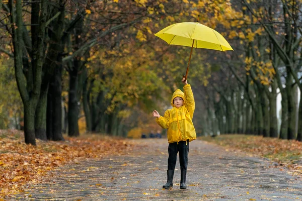 Dziecko Żółtym Płaszczu Chodzi Jesiennym Parku Dużym Żółtym Parasolem Rękach — Zdjęcie stockowe