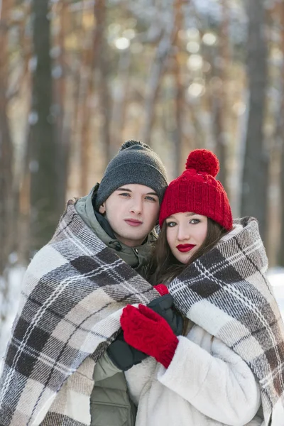 Young man and woman in snow-covered winter forest covered themselves with warm blanket. Vertical frame.
