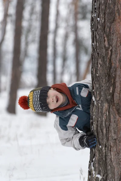 Χαρούμενο Αγόρι Κρυφοκοιτάζει Πίσω Από Δέντρο Παιδί Πλεκτό Καπέλο Περπατά — Φωτογραφία Αρχείου