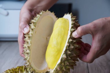 Olgun durian yemek için hazır, Tayland