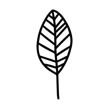 Vektör el, beyaz arkaplan simgesinde izole edilmiş sonbahar yaprağını çizdi. Mevsimlik tasarım, tekstil ve tebrik kartı dekorasyonu için hoş bir güz yaprağı. Yetişkinler ve çocuklar için karalama boyama sayfası. Mürekkep satırı sanatı